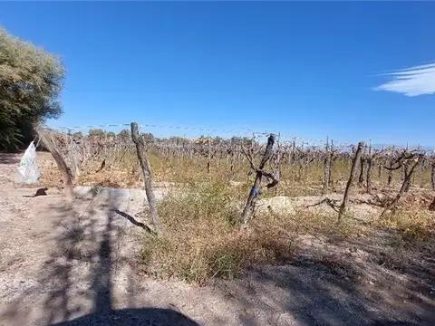 Campo en Venta de 10  ha