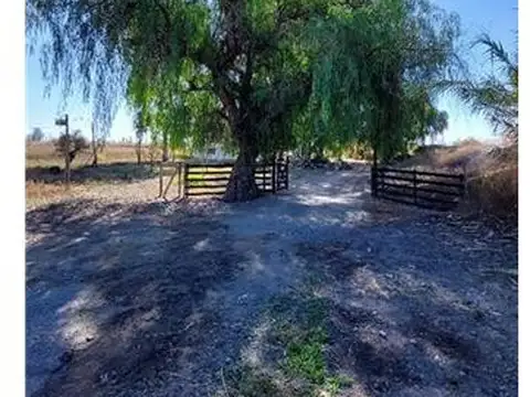 Campo en Venta de 10  ha