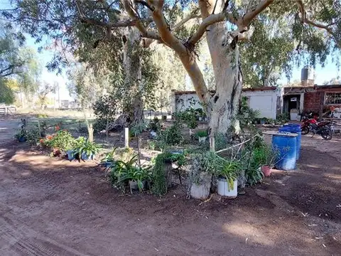 JUSTO CASTRO ESTE - RUTA NACIONAL 20 100