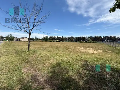 Terreno en Venta 98  mts Frente