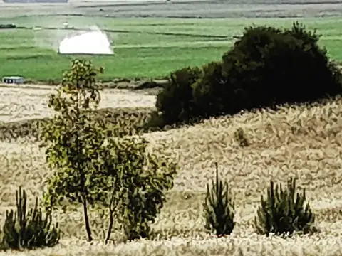 Terreno en Venta de 1603,0 m2