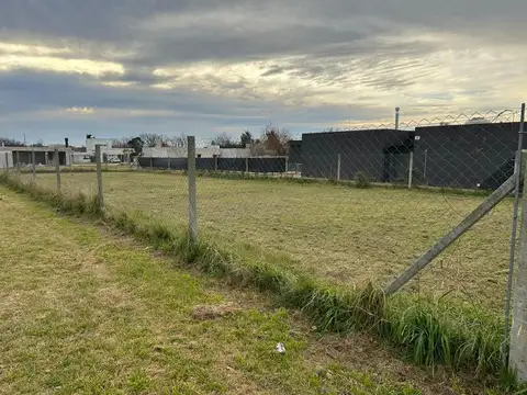 446 y 135