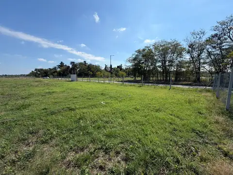 Terreno en Venta 12  mts Frente