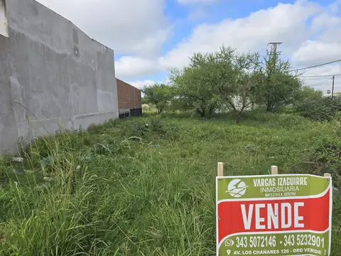Lote sobre calle Pedro Balcar y casi Ejercito de 10 x 30
