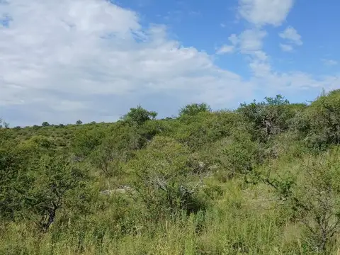 Terreno en Venta de 50000,0 m2