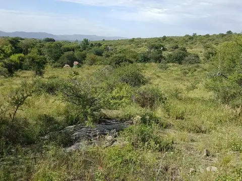 uruguay