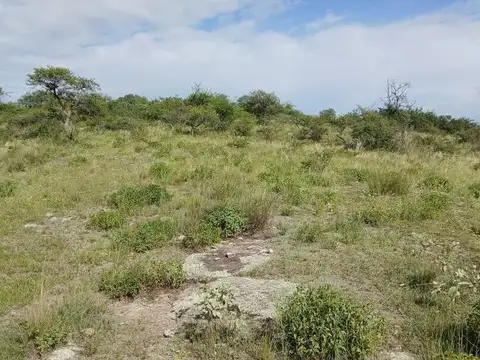 Terreno en Venta de 50000,0 m2