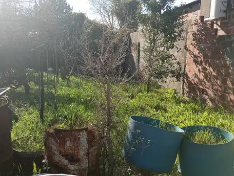 Terreno Lote  en Venta en Sarandí, Avellaneda, G.B.A. Zona Sur