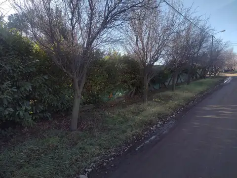 Las  Americas al 500