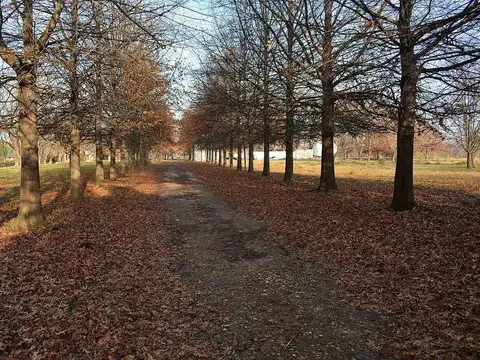 Fábrica o Depósito dentro de lote de 12 hectáreas en Ruta 8, Fátima, Estación Empalme