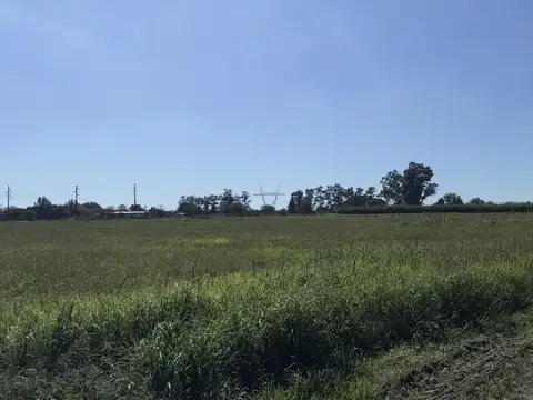 Camino Publico