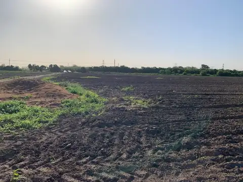 Campo 3 hectáreas Agrícolas Soldini