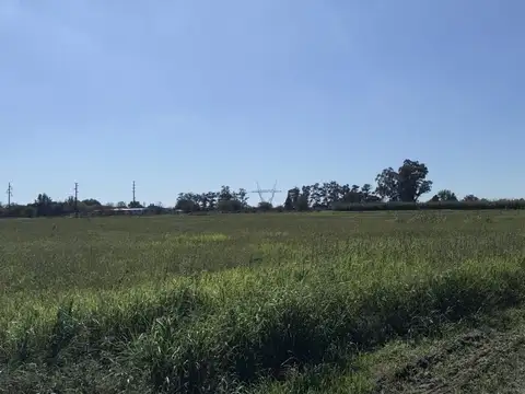 Camino Publico