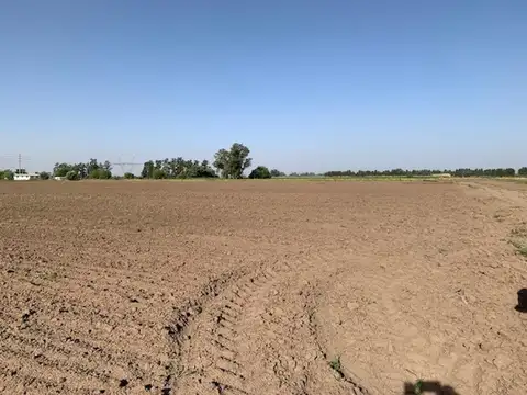 Campo 3 hectáreas Agrícolas Soldini