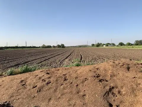 Camino Publico