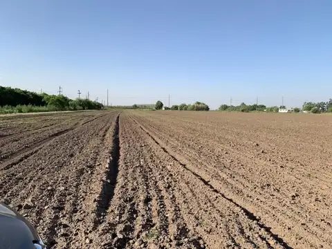 Camino Publico