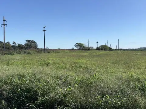 Campo 3 hectáreas Agrícolas Soldini