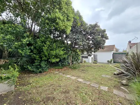 ñanduti 3600