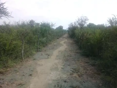 Ruta Nacional 77