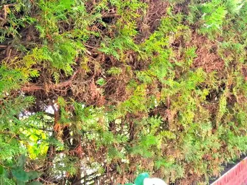 Casa en Venta con 4 cocheras