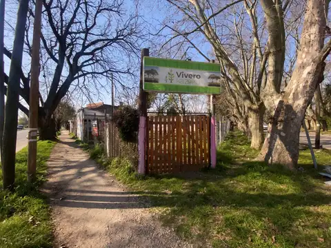 Dr. L. Chiesa esq Malvinas Arg