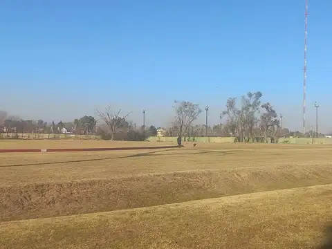 Los Lagartos C.C.