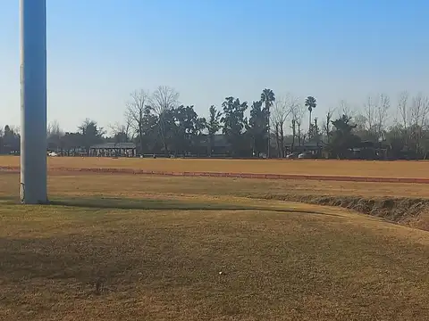 Los Lagartos C.C.
