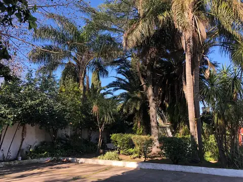Tabaré