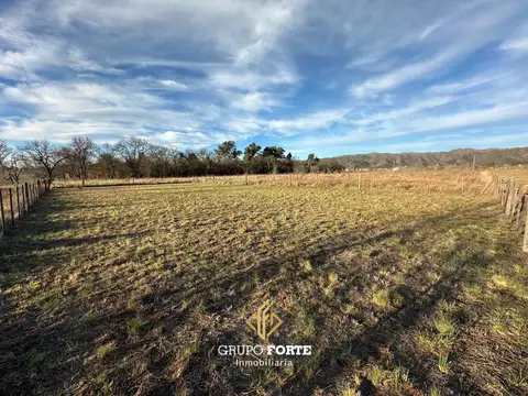 Terreno en Venta 40  mts Fondo