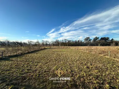Terreno en Venta en El Cedron, Los Reartes