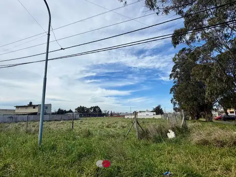 Terreno en Venta 43  mts Fondo