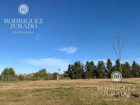 Ruta 25