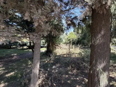 Terreno en Venta 30  mts Fondo