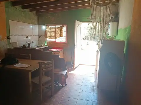 Falucho 100