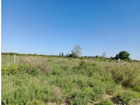 Terreno de 2000 mts2 en Mendoza