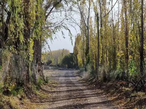 BELGRANO, LOTE 100