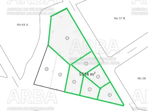 avenida 12 de octubre y las calendulas 100