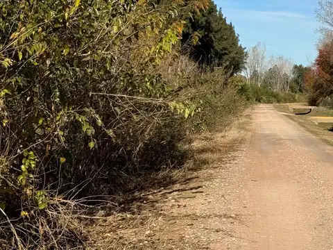 Terreno Lote  en Venta en Barrio Parque Los Pinos, Exaltación de la Cruz, G.B.A. Zona Norte