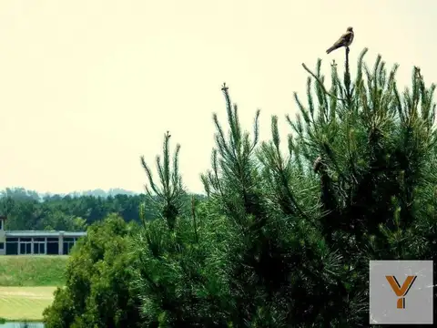 Terreno en Venta en Necochea, USD 28.000