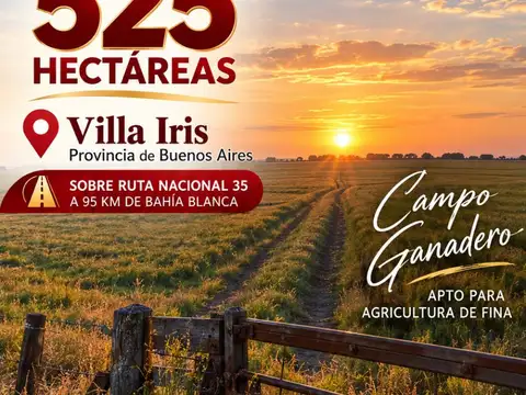Campo - Villa Iris