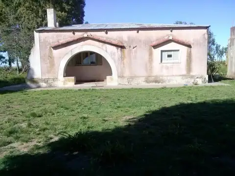 Campo - Villa Iris