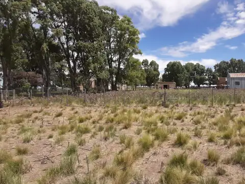 Campo - Villa Iris
