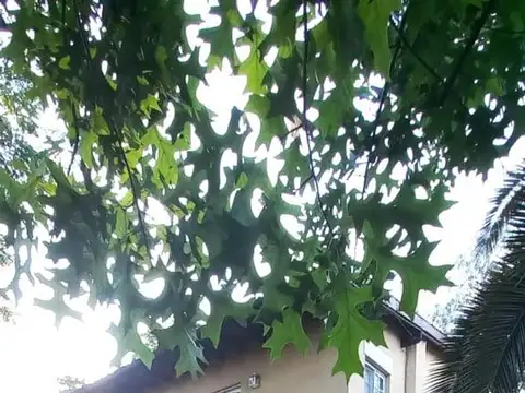 EXCELENTE CASA A METROS DE LA RUTA 6