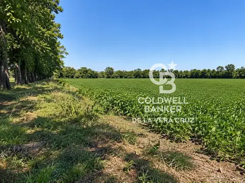 Terreno de 19.980 m² en venta – Selva de Montiel, Paraná