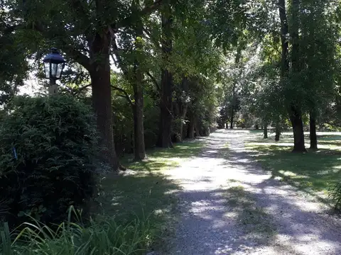 Terreno en Venta en Manzanares, USD 800.000