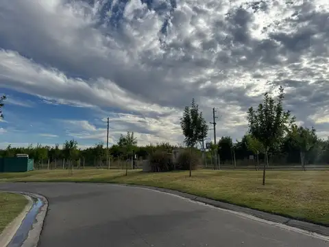 Venta de lote en SAN EDUARDO PILAR DEL ESTE