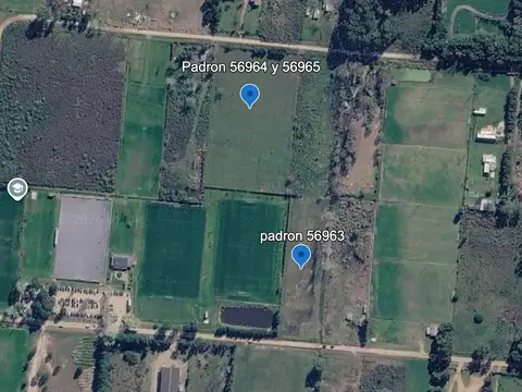 Cno. Montevideo Cricket Club 100