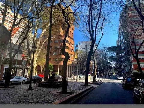 Local en Alquiler 1 año