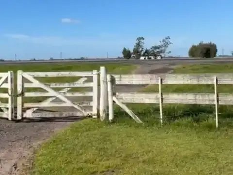 Venta campo 50has ganadero  buenos aires