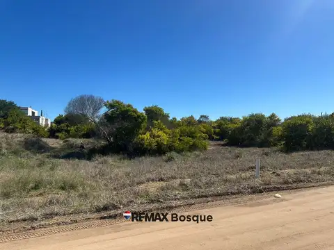 Lote 416, Senderos IV 100
